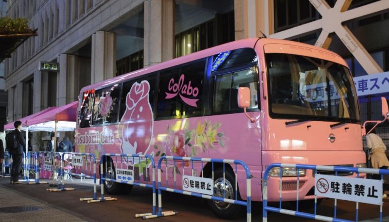 xe buýt hỗ trợ phụ nữ